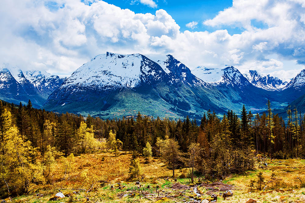 Why Visiting Natural Parks Should Be at the Top of Your Bucket List: The Benefits of Connecting with Nature.